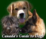 Canada's Guide To Dogs