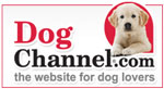 Dog Channel.com