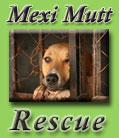 Mexi Mutt Rescue
