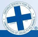 Ontario SPCA